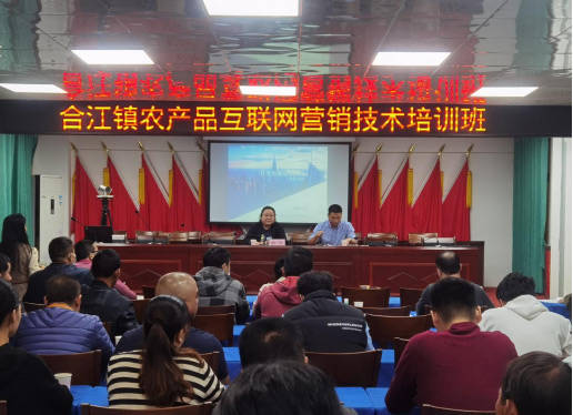 化州市合江鎮(zhèn)舉辦農(nóng)產(chǎn)品互聯(lián)網(wǎng)銷售與信息系統(tǒng)集成服務(wù)培訓(xùn)班